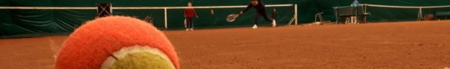 Tennis couvert Royal Orée